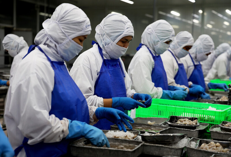 Với mặt hàng tôm xuất khẩu sang Hoa Kỳ, doanh nghiệp không chỉ đáp ứng yêu cầu kiểm dịch và an toàn thực phẩm theo SPS mà còn phải tuân thủ các quy định về kích cỡ, bao gói và ghi nhãn theo TBT. Ảnh minh họa