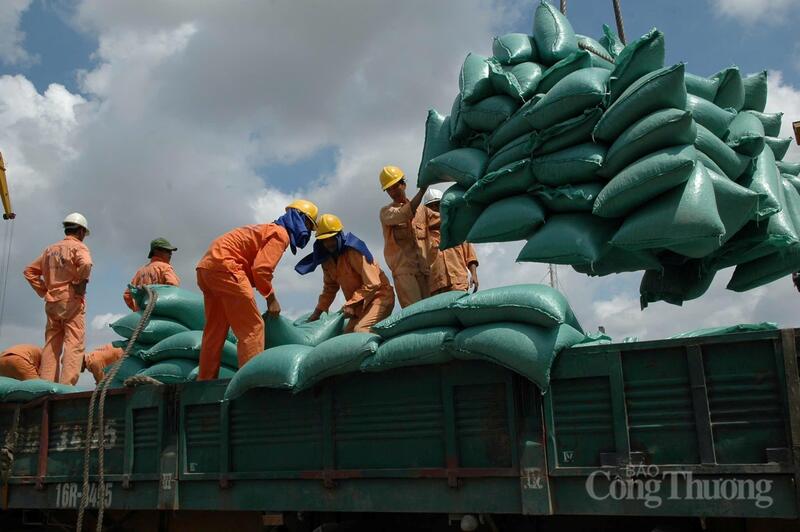 Bức tranh xuất khẩu gạo có nhiều tín hiệu vui buồn đan xen. Ảnh: Cấn Dũng