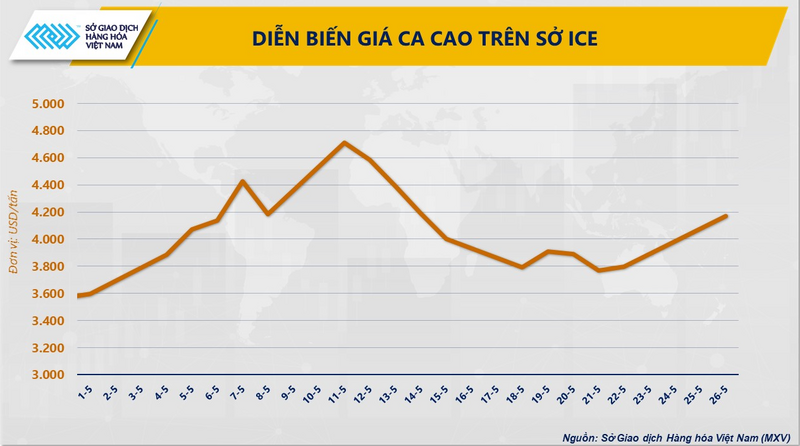 Diễn biến giá ca cao trên Sở ICE. Nguồn: MXV