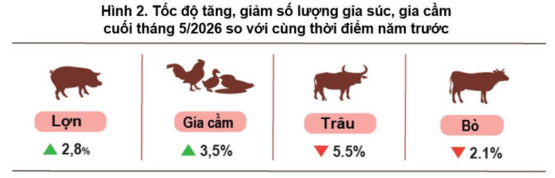Sản xuất nông nghiệp phục hồi, nuôi trồng thủy sản tiếp tục khởi sắc - 3