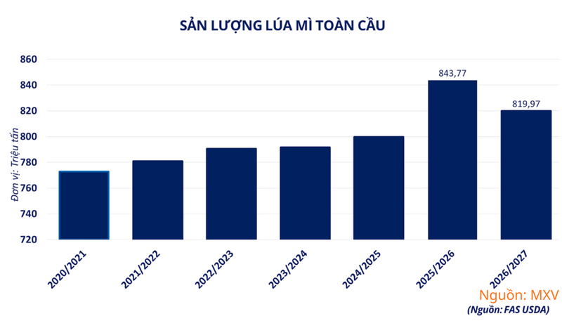 Sản lượng lúa mì toàn cầu.