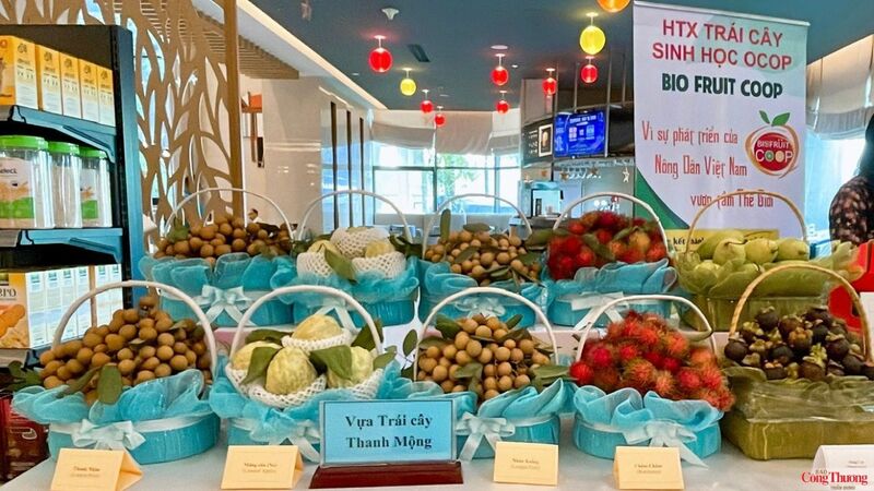 Bà Huỳnh Thị Kiểu Tiên - Giám đốc Doanh nghiệp tư nhân sản xuất thương mại Đăng Quang cho biết, việc tham gia không gian trưng bày tại hội thảo quốc tế là cơ hội để doanh nghiệp giới thiệu sản phẩm đến đông đảo chuyên gia, khách mời và đối tác quốc tế. Đây cũng là dịp để doanh nghiệp tìm hiểu nhu cầu thị trường, mở rộng kết nối, từng bước đưa các sản phẩm đặc trưng của địa phương đến với nhiều thị trường mới.