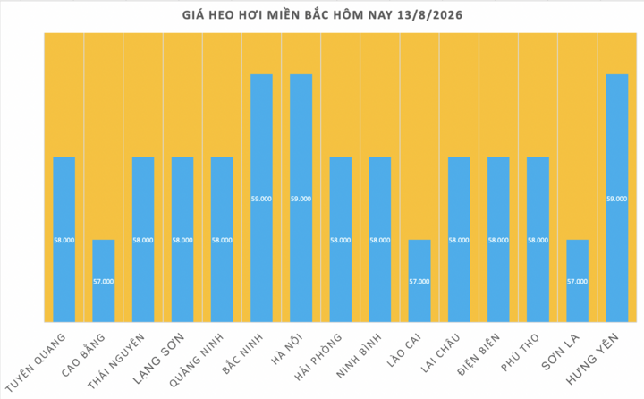 Giá heo hơi hôm nay 13/8/2026: Giảm cục bộ 1.000 đồng/kg - 1