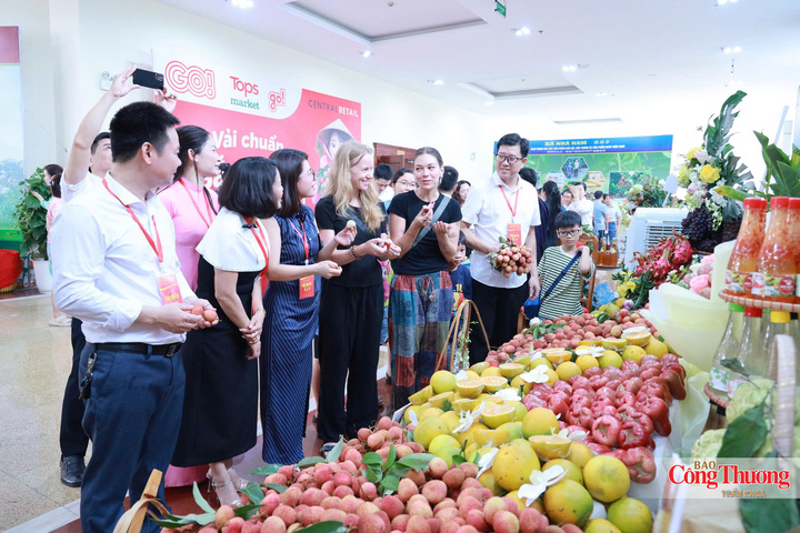 Hoạt động kết nối, quảng bá nông sản, sản phẩm đặc trưng và phát triển thị trường tại Bắc Ninh.