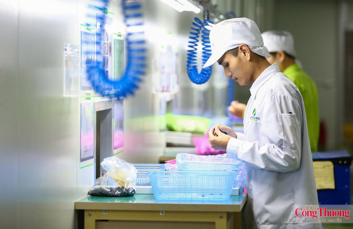 Việt Nam được đánh giá trong nhóm dẫn đầu xu hướng chuyển dịch sang sản xuất sản phẩm công nghệ tiên tiến.