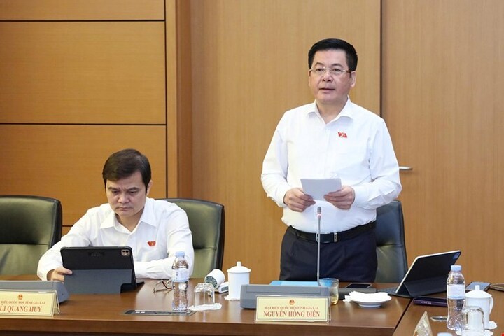 Phó Chủ tịch Quốc hội Nguyễn Hồng Diên phát biểu tại phiên thảo luận. Ảnh: Quochoi.vn