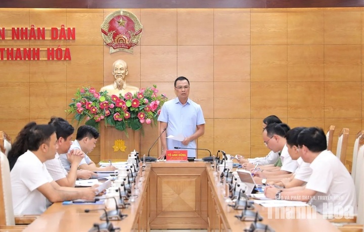 Chủ tịch UBND tỉnh Tô Anh Dũng chủ trì hội nghị.