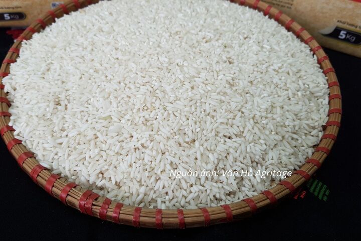 Giá gạo xuất khẩu bình quân tháng 9/2026 của Việt Nam đạt khoảng 484,8 USD/tấn, giảm 5,1% so với cùng kỳ.