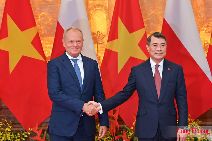 Thủ tướng Lê Minh Hưng và Thủ tướng Ba Lan Donald Tusk chụp ảnh chung trước hội đàm.